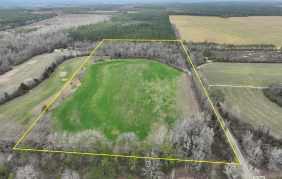 20 Acres in Baldwin County, AL!