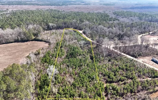 6 Acres in Butler County, AL!